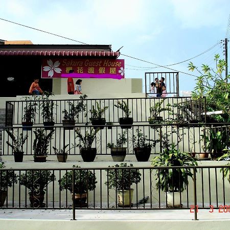 Sakura Guest House Cameron Highlands Exterior foto